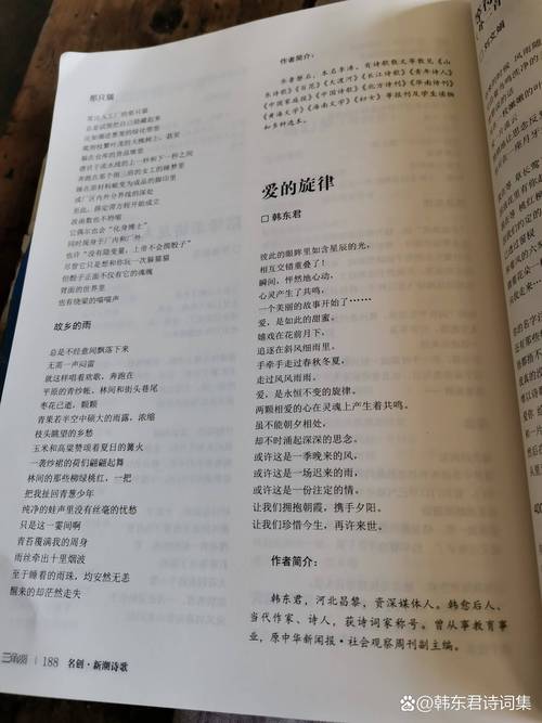 爱的分贝：当情侣间奏响争吵的音符