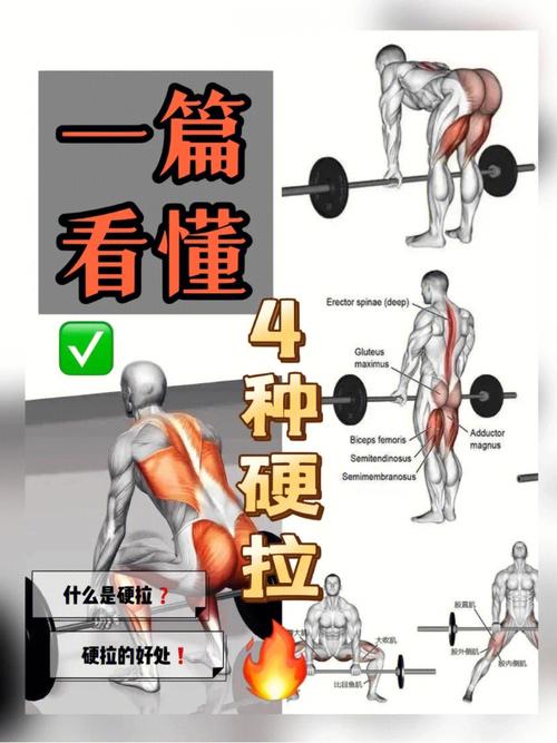 深挖硬拉：力量训练的基石与进阶奥秘