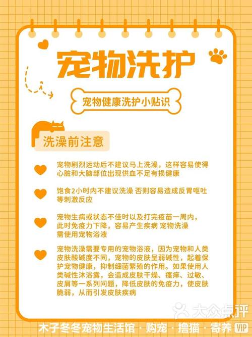 详细阅读:宠物美容护理全攻略:打造爱宠精致生活,共筑温馨陪伴 宠物美容护理全攻略:打造爱宠精致生活,共筑温馨陪伴