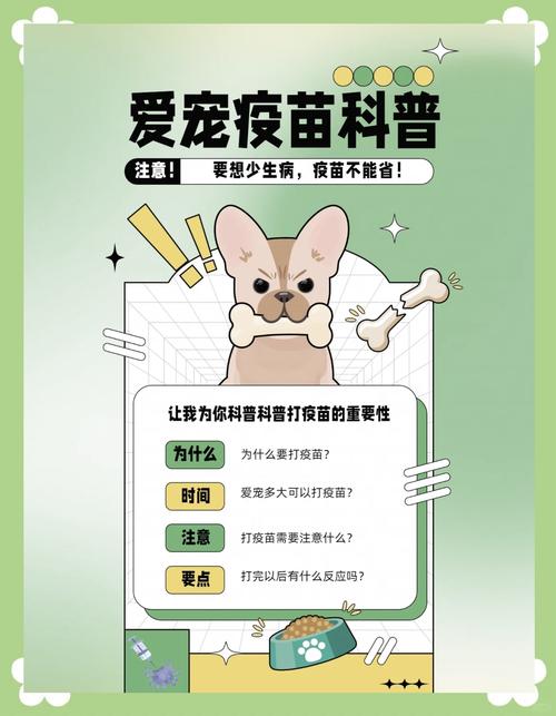 宠物疫苗接种：为爱宠健康保驾护航