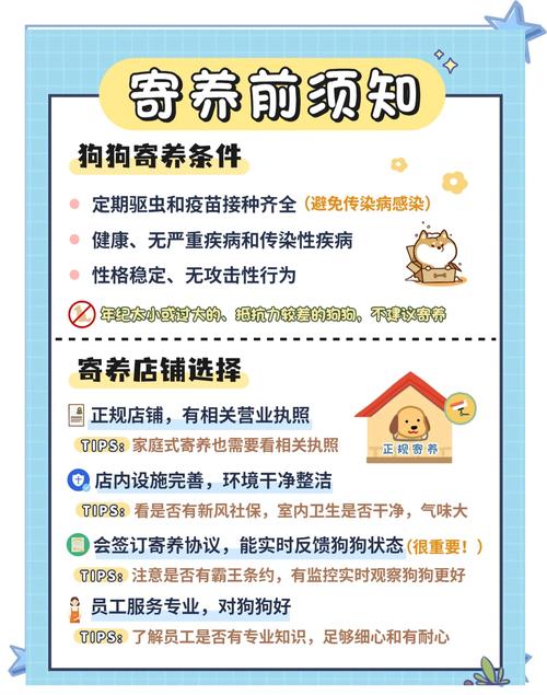 详细阅读:宠物寄养全攻略:让爱宠安心,让你放心 宠物寄养全攻略:让爱宠安心,让你放心