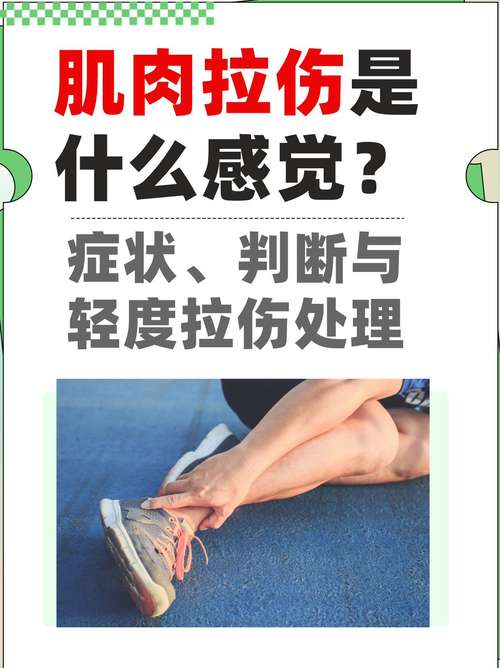 肌肉拉伤：成因、症状与科学应对策略