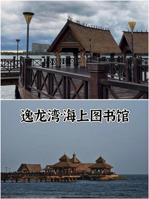 社区图书馆：知识海洋中的温馨港湾