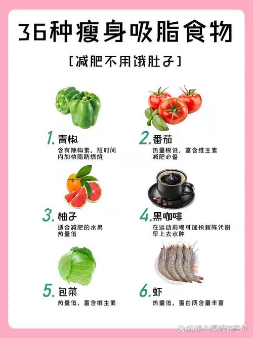 探秘脂肪：身体的能量宝藏与健康“双刃剑”