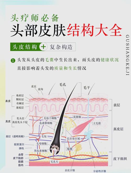 头皮炎症：全面解析其治疗与护理之道