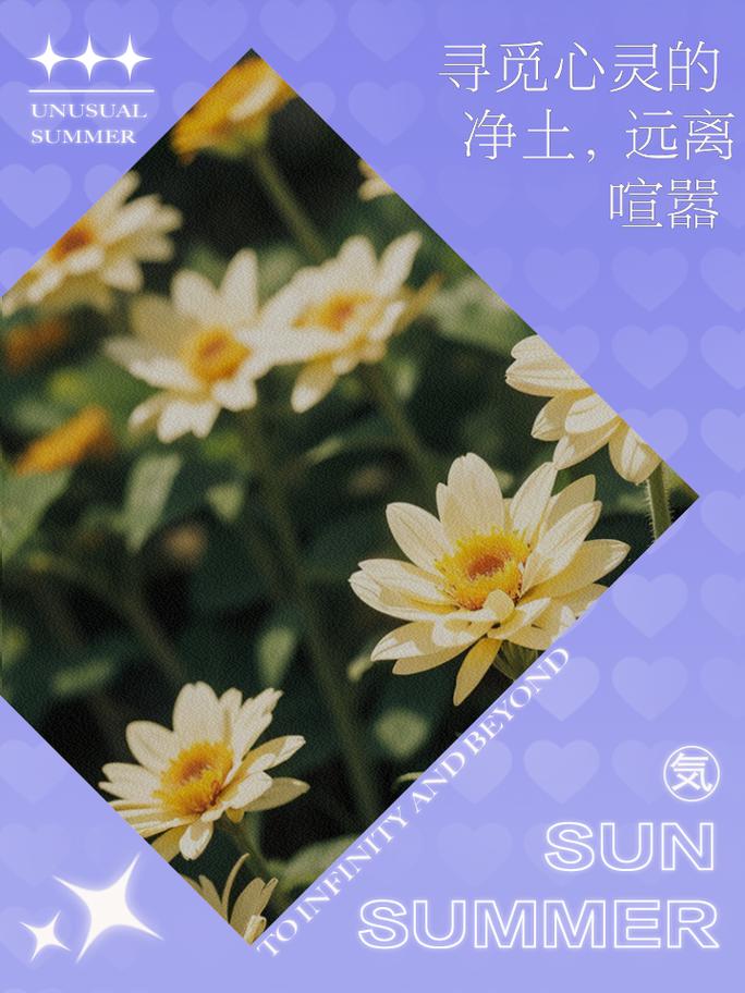 治愈寂寞：于喧嚣尘世中寻一方心灵净土
