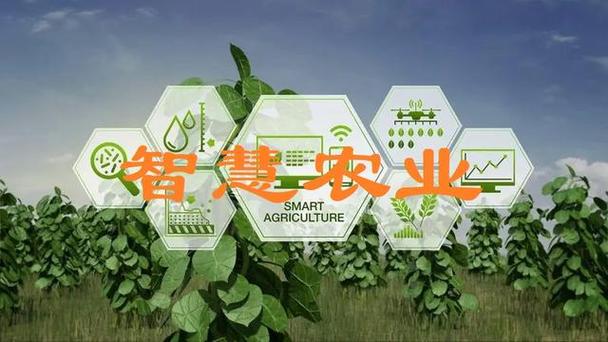 智慧农业：开启农业现代化新征程