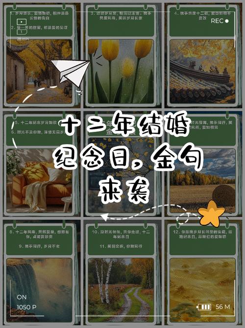岁月长歌，爱之弦音：我们的结婚纪念日庆典