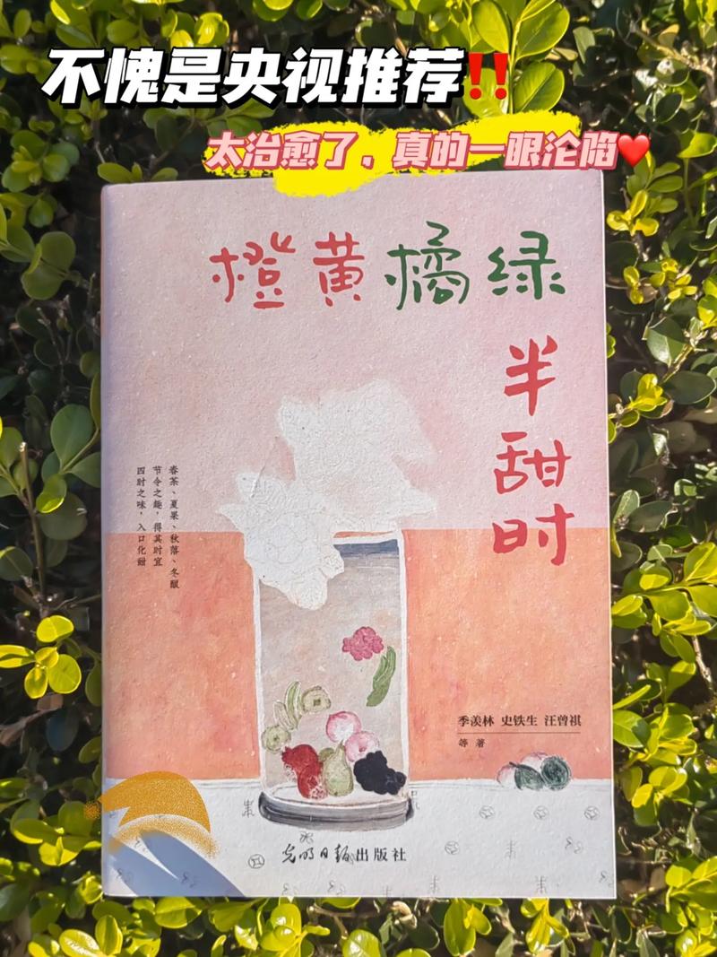 橘子：时光里的一抹暖香