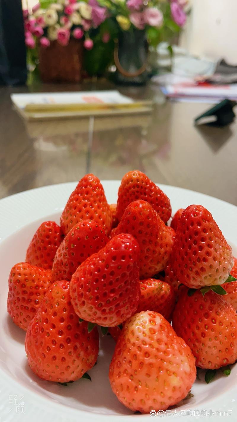 草莓：从田间到舌尖的甜蜜魔法