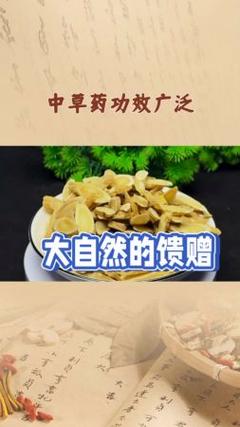 草药：大自然的神奇馈赠与人类健康的守护者