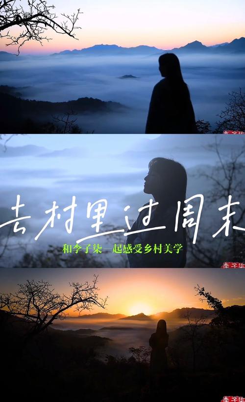 《乡野逸趣：一场说走就走的心灵之旅》