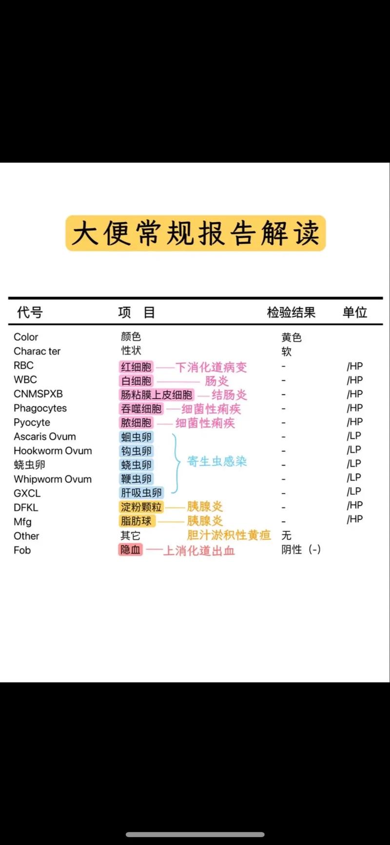 便常规：了解肠道健康的“密码”