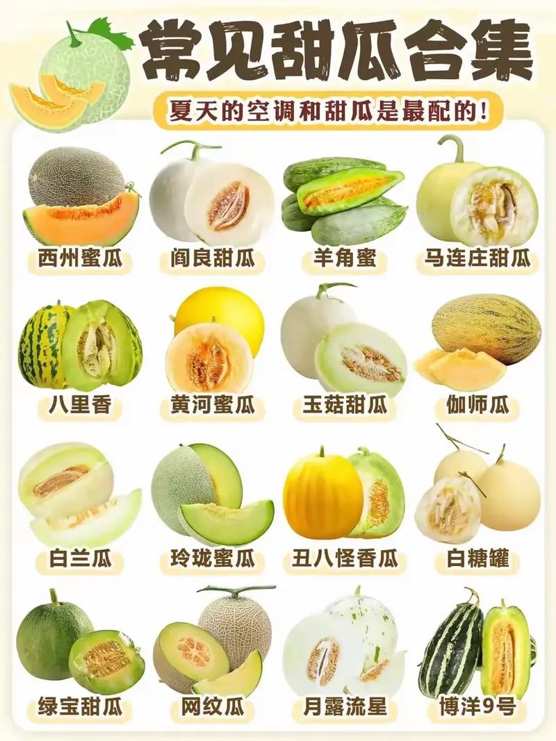 哈密瓜：甜蜜滋味中的文化与风情