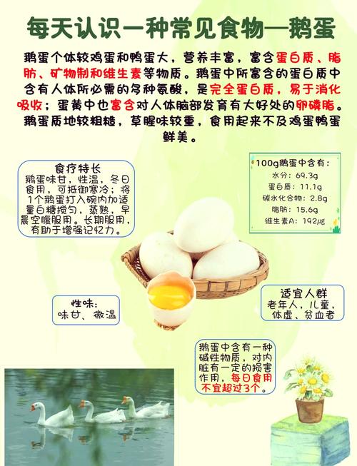 鹅蛋的奥秘：营养、烹饪与文化探微