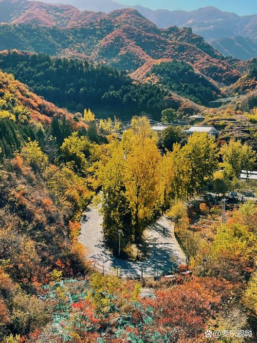 雾灵山：京郊的生态奇迹