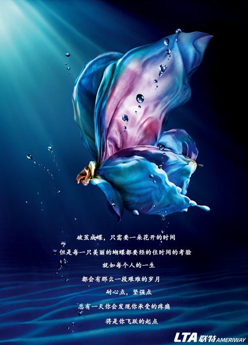 破茧成蝶：从心出发，铸就自信之光