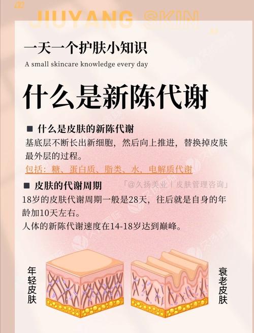肌肤新陈代谢：生命律动的奇妙之旅与肌肤护理奥秘