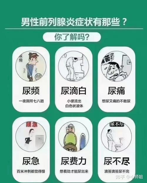 男性健康：守护“生命腺”，远离男科疾病困扰