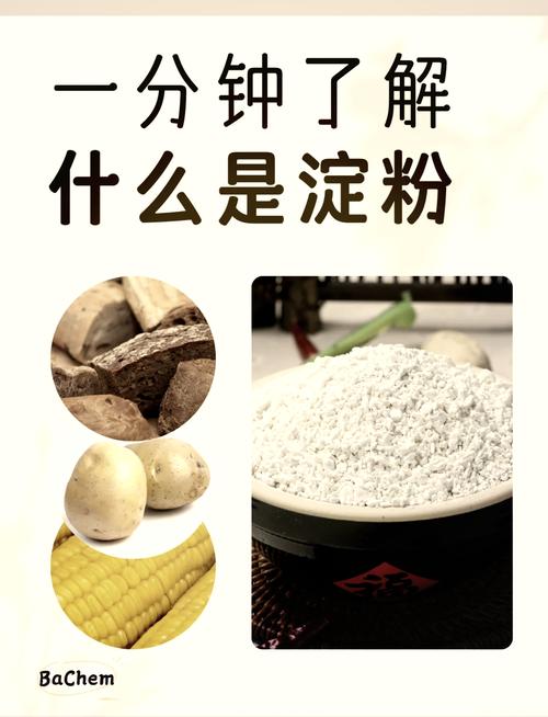 淀粉的世界：探索其奥秘与应用价值