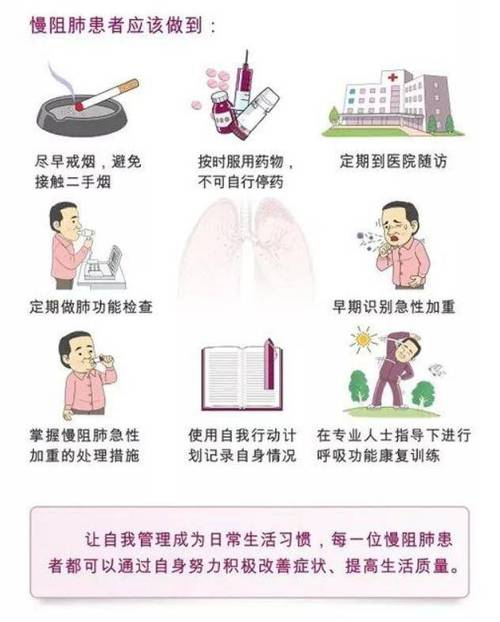 慢性病防治：守护生命绿洲，共筑健康防线