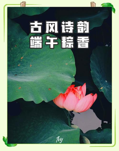 粽香情韵：端午佳节的味蕾记忆与文化传承