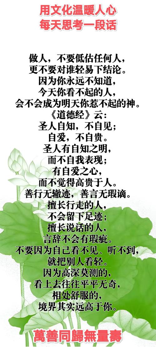 道德感：人性的光辉灯塔