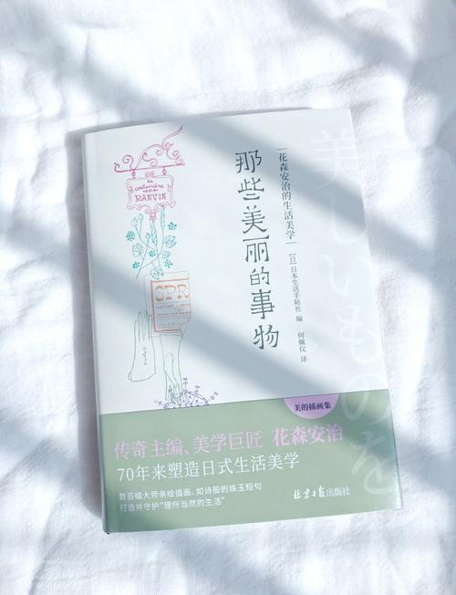 发现生活中的美学宝藏