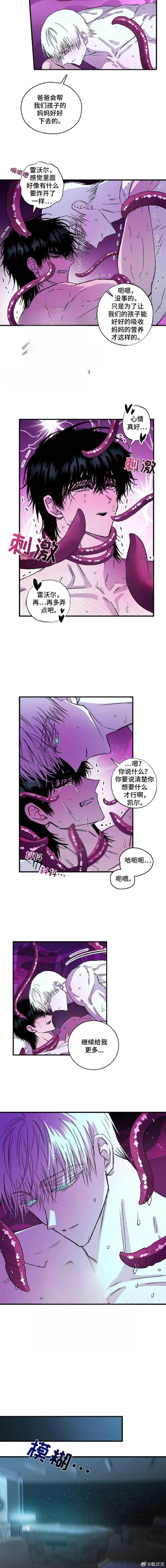 触觉：人体与世界的奇妙连接