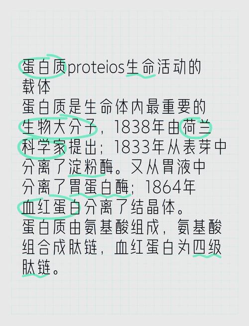 蛋白质：生命活动中的神奇分子