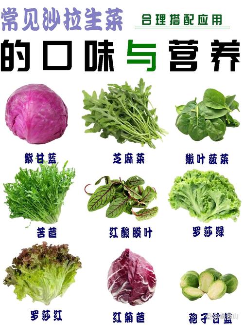 膳食纤维：健康的“绿色清道夫”
