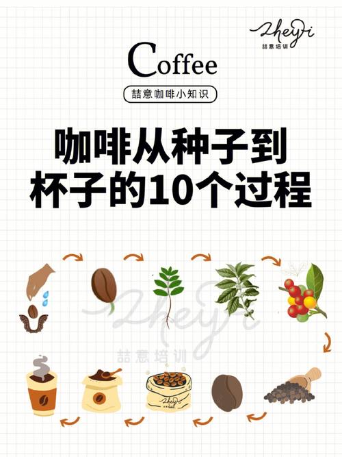 详细阅读:咖啡:从种子到生活的奇妙饮品 咖啡:从种子到生活的奇妙饮品