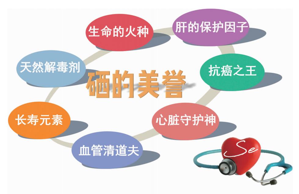 详细阅读:硒:生命必需的微量元素与多面应用 硒:生命必需的微量元素与多面应用