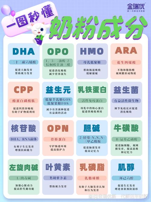 一段奶粉：宝宝成长的营养基石与智慧之选