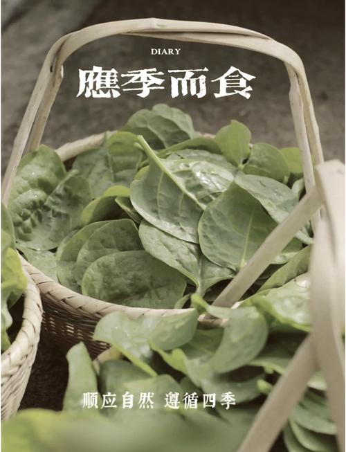 素食：一场味蕾与身心的绿色盛宴