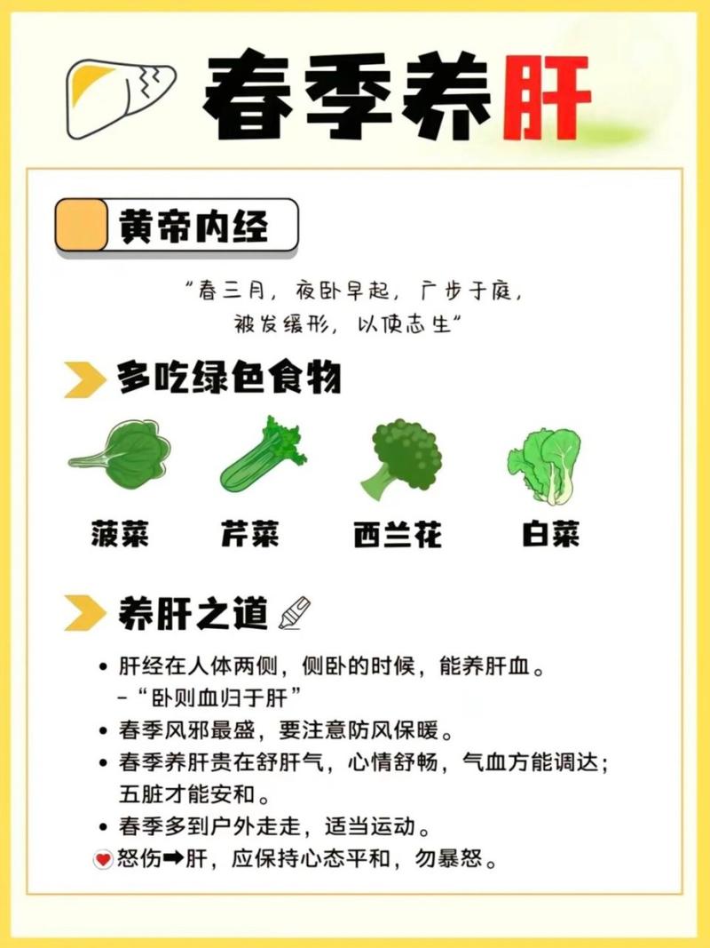 四季食疗：自然之馈赠，养生之智慧