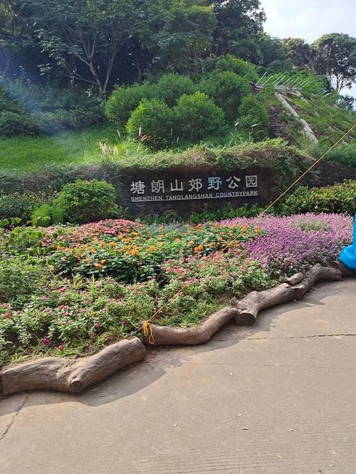 塘朗山郊野公园：城市中的自然绿洲