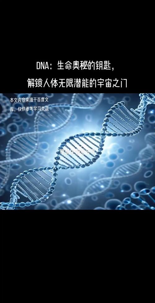 基因测序技术：开启生命奥秘的金钥匙
