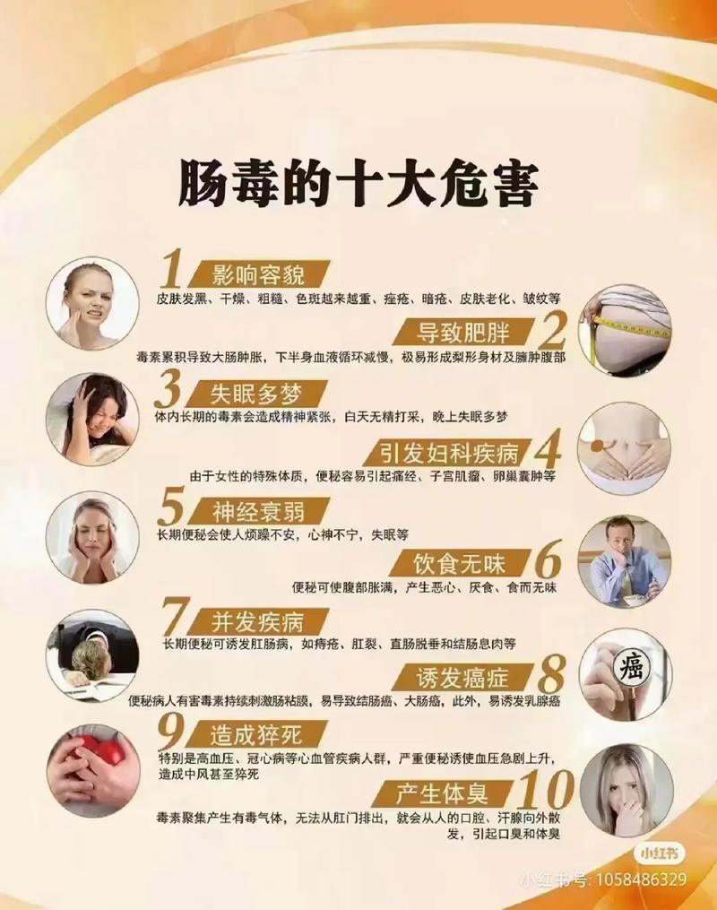 便秘：成因、危害与综合应对策略全解析