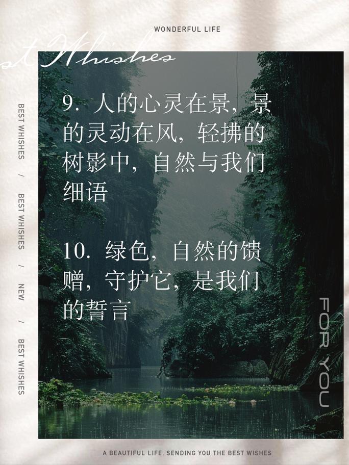 青青世界：自然与心灵的诗意栖居