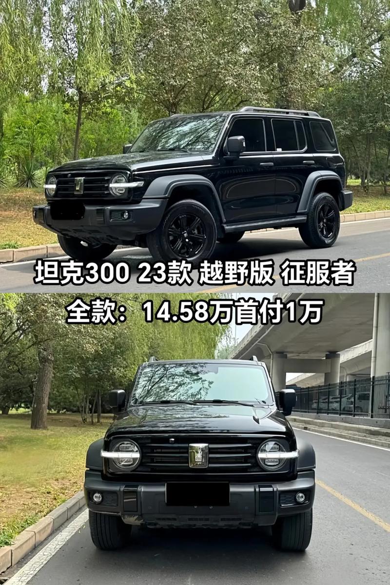深度解析长城坦克300：国产硬派越野的璀璨之星