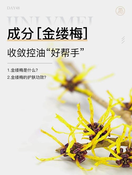 详细阅读:金缕梅:控油收敛的护肤瑰宝 金缕梅:控油收敛的护肤瑰宝