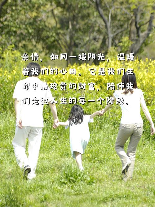 亲情支持：生命中最温暖的港湾