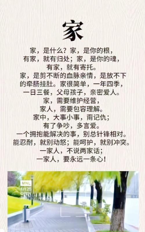 家庭情感凝聚力：家庭和谐的基石与力量源泉