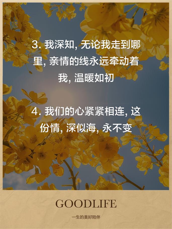 亲情：岁月深处的温柔港湾