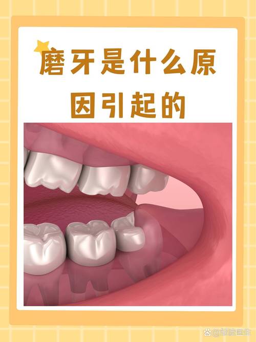 深入了解磨牙棒成分：安全与功效的奥秘