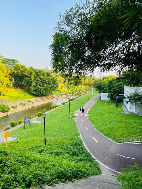 福田河绿道：都市中的绿色丝带