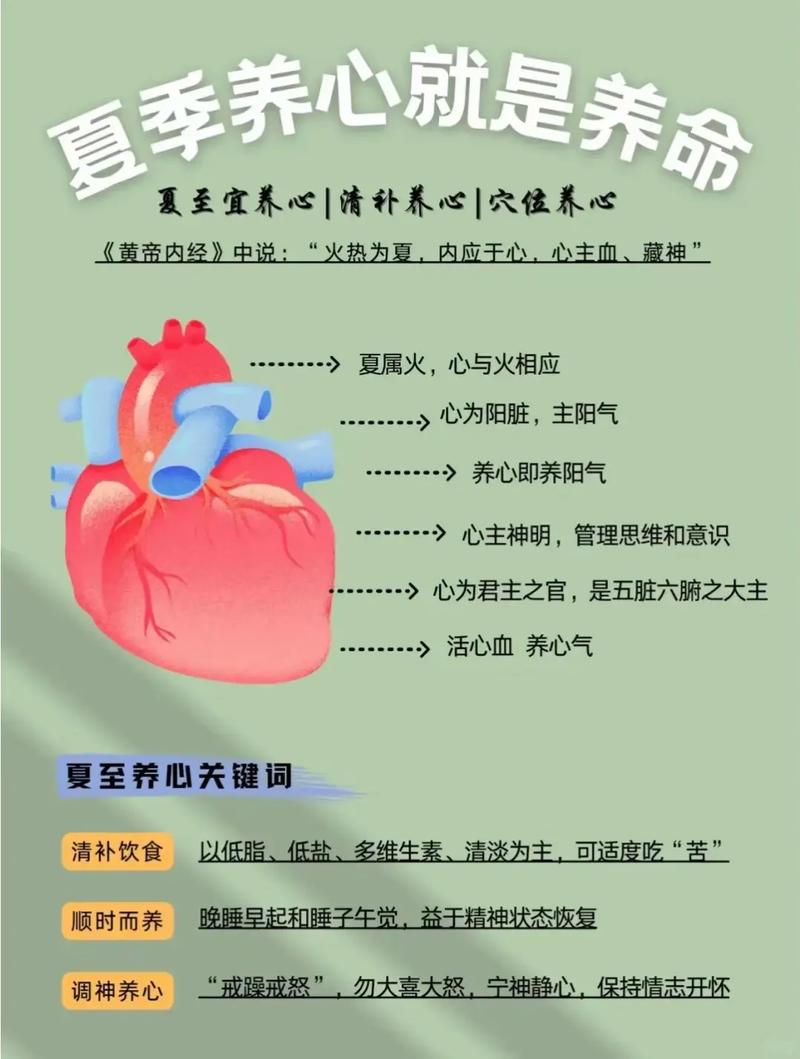 护心养生：守护生命的“核心”