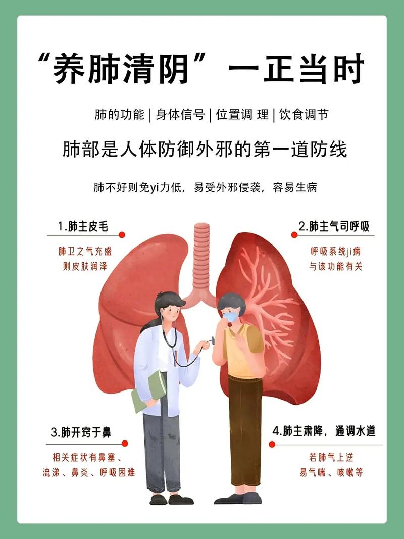 清肺养生：守护肺部健康，畅享清新生活