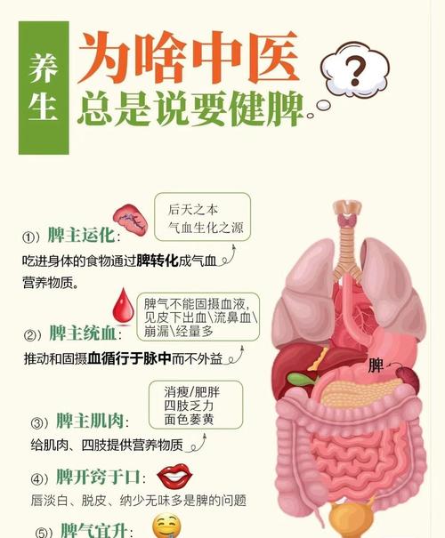 详细阅读:健脾养生:开启健康活力新“鲰”味 健脾养生:开启健康活力新“鲰”味